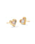 Framed Ari Heart Gold Iridescent Abalone Stud Earrings