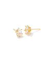 Cailin Crystal Stud Earrings Gold White CZ